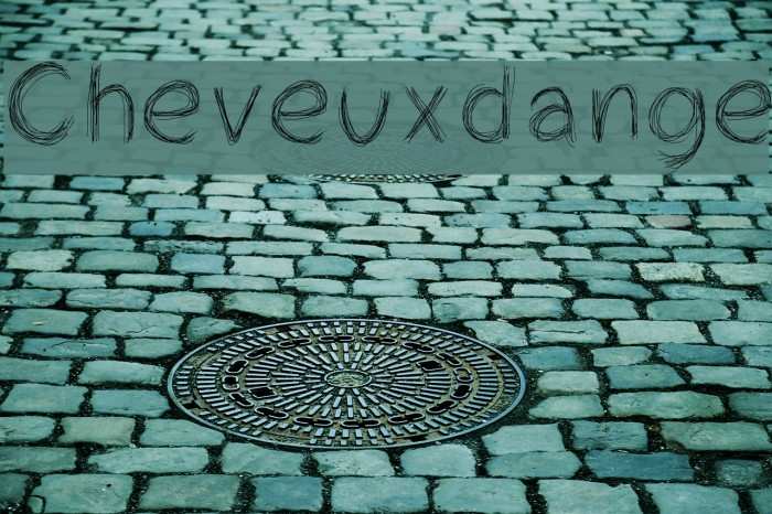 Cheveuxdange Example 1