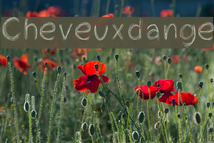 Cheveuxdange Example 2