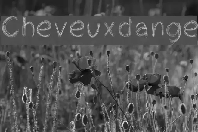 Cheveuxdange Font examples