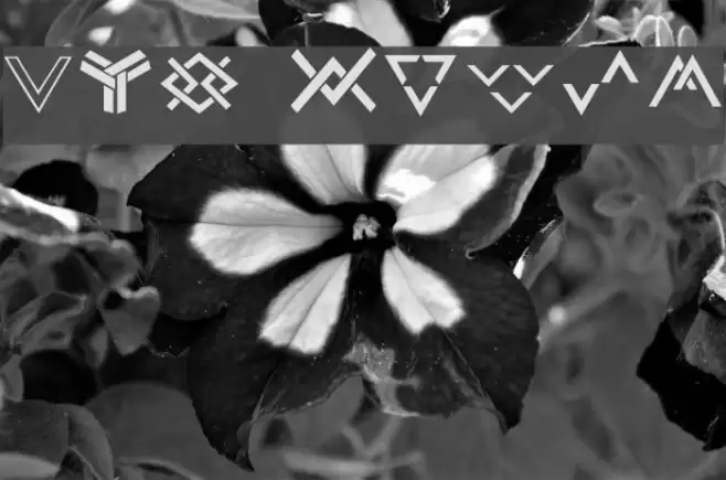 Chevron Dingbats Polices examples