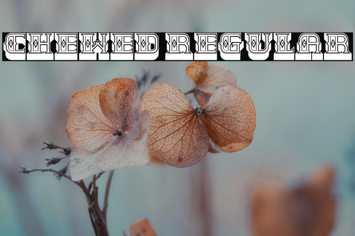 Chewed Regular Example 1