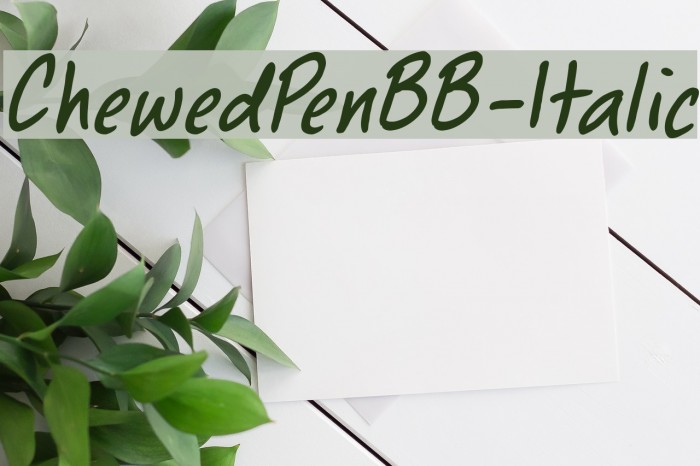 ChewedPenBB-Italic Font examples