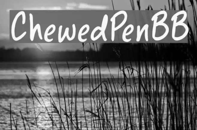 ChewedPenBB Font examples