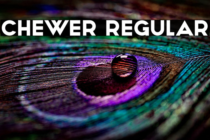 Chewer Regular Example 1