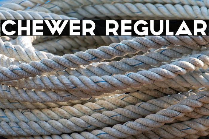 Chewer Regular Example 2