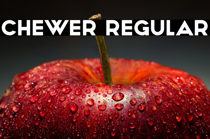 Chewer Regular Example 3