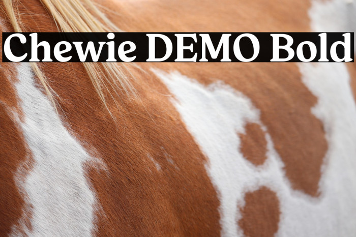 Chewie DEMO Bold Example 1