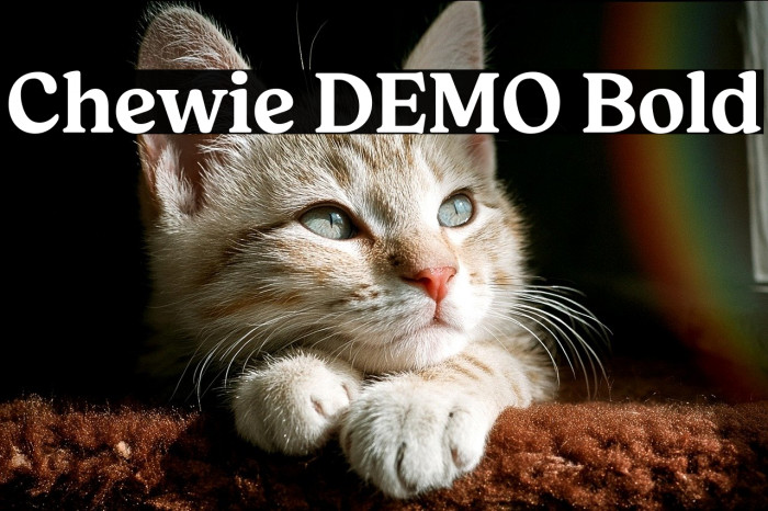 Chewie DEMO Bold Example 2