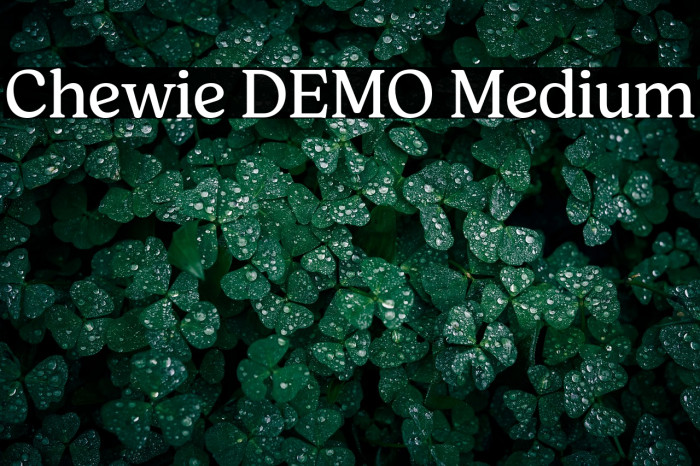 Chewie DEMO Medium Example 1