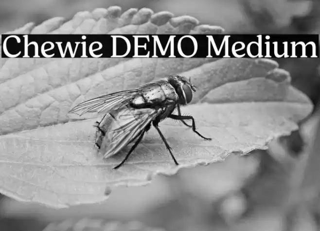 Chewie DEMO Medium Font examples
