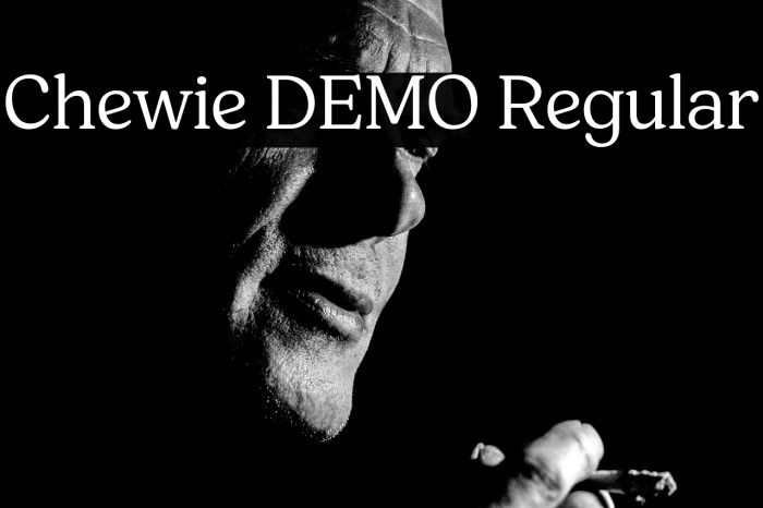 Chewie DEMO Regular Example 1