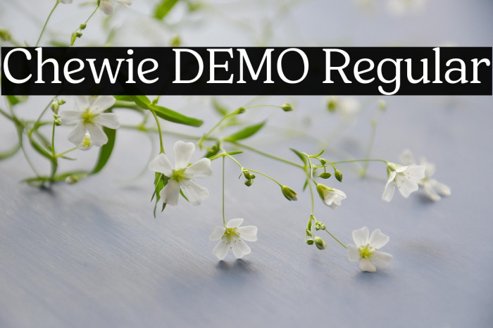 Chewie DEMO Regular Example 2