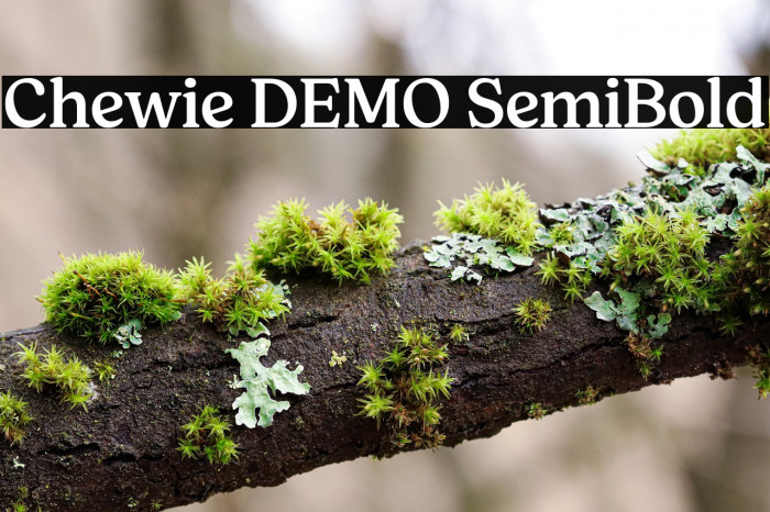 Chewie DEMO SemiBold Example 2