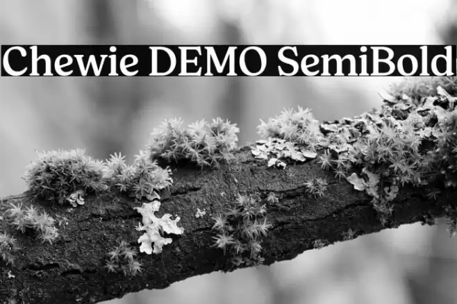 Chewie DEMO SemiBold Font examples