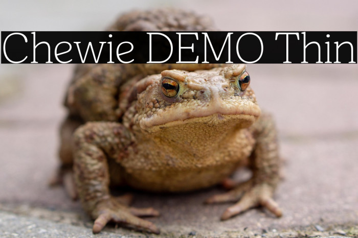 Chewie DEMO Thin Example 1