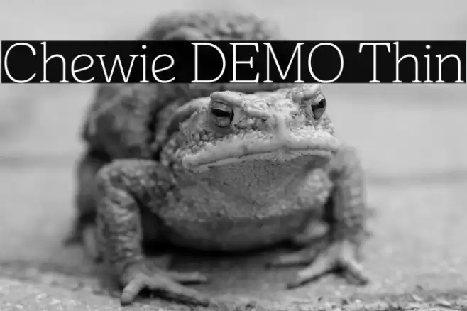 Chewie DEMO Thin Font examples