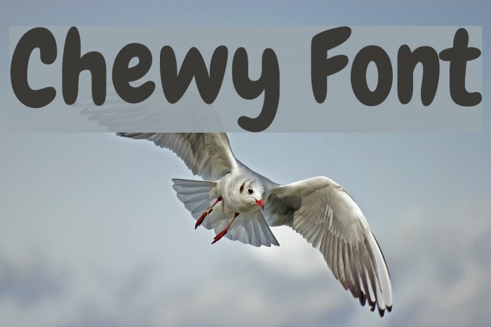 Chewy Font examples