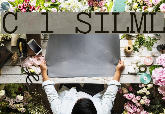 Chey 1 SILManuscriptL Font examples