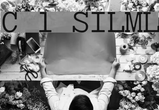 Chey 1 SILManuscriptL Шрифта examples