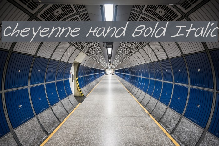 Cheyenne Hand Bold Italic Font examples