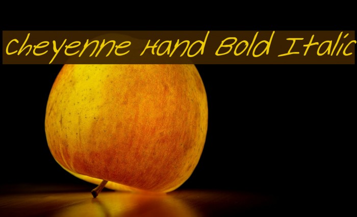 Cheyenne Hand Bold Italic Font examples
