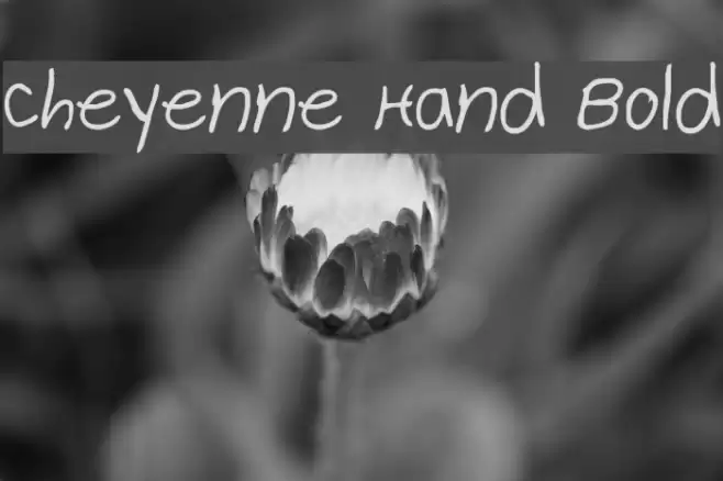 Cheyenne Hand Bold Font examples