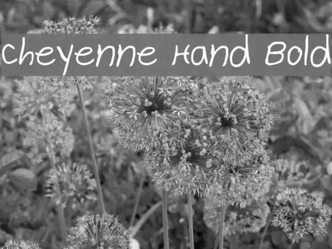 Cheyenne Hand Bold Font examples