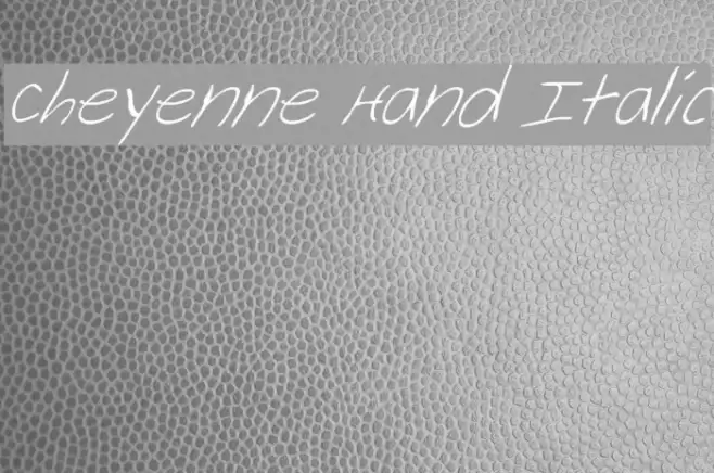 Cheyenne Hand Italic Font examples