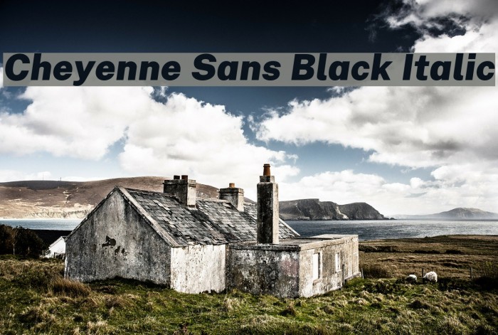 Cheyenne Sans Black Italic Font examples
