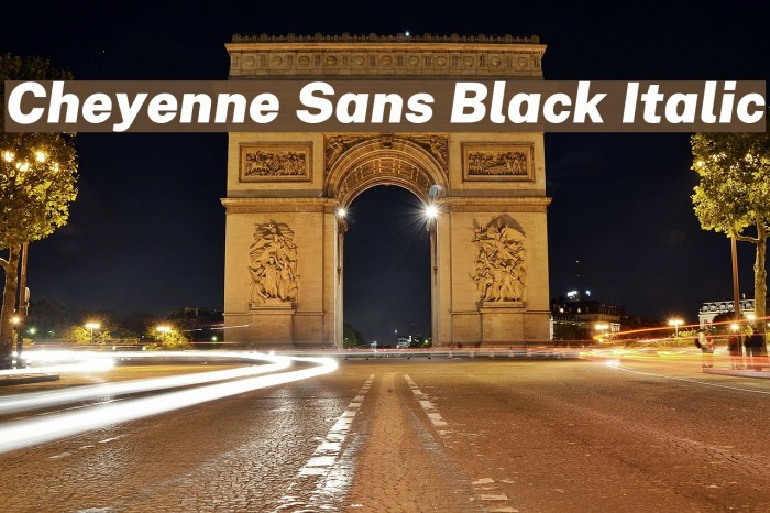 Cheyenne Sans Black Italic Font examples