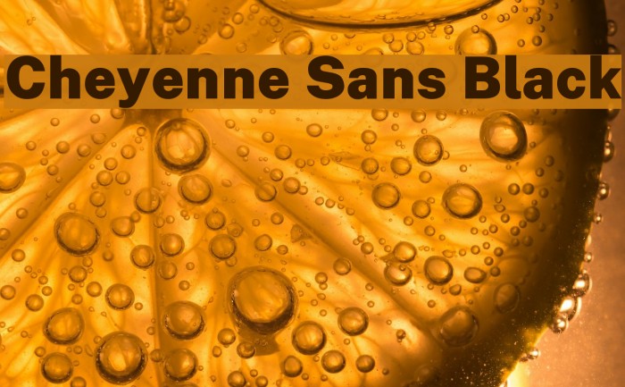Cheyenne Sans Black Font examples
