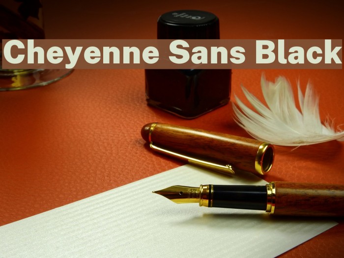 Cheyenne Sans Black Font examples