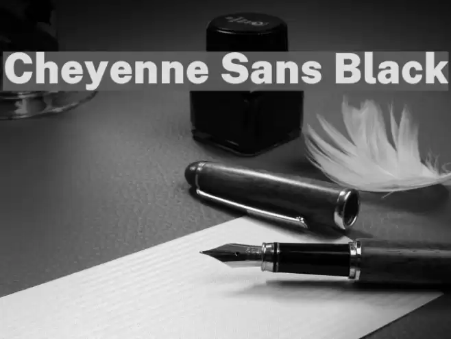 Cheyenne Sans Black Font examples