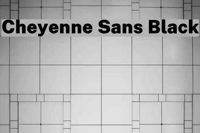 Cheyenne Sans Black Font examples