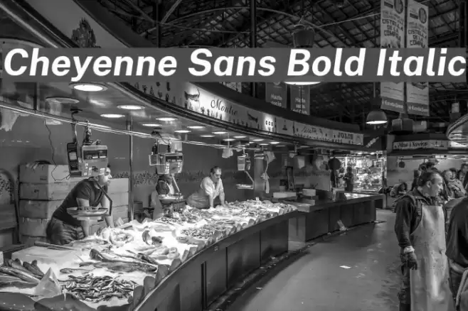 Cheyenne Sans Bold Italic Font examples