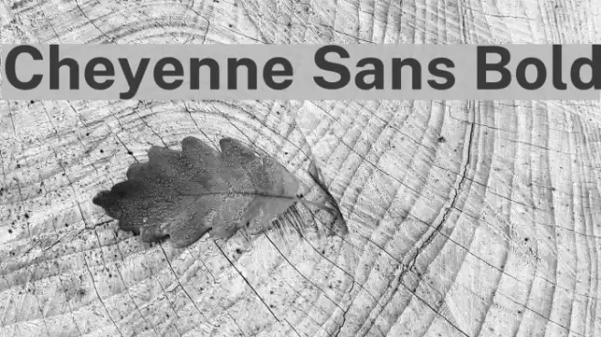 Cheyenne Sans Bold Font examples