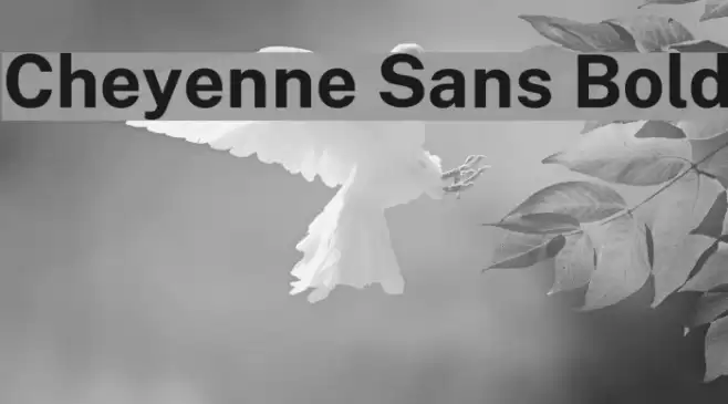 Cheyenne Sans Bold Font examples