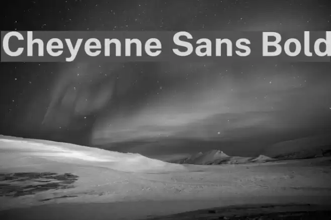Cheyenne Sans Bold Font examples