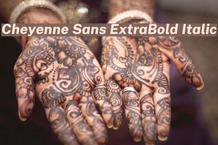 Cheyenne Sans ExtraBold Italic Font examples