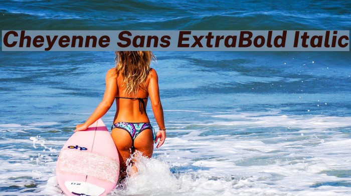 Cheyenne Sans ExtraBold Italic Font examples