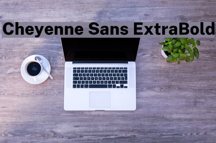 Cheyenne Sans ExtraBold Font examples