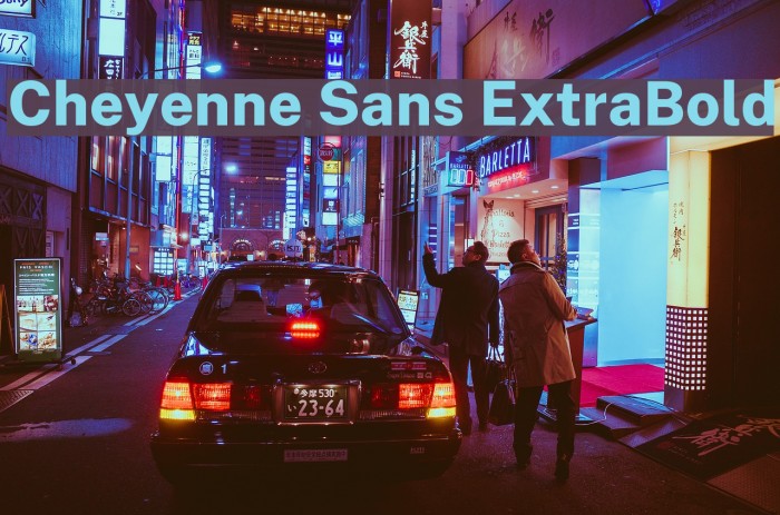 Cheyenne Sans ExtraBold Font examples