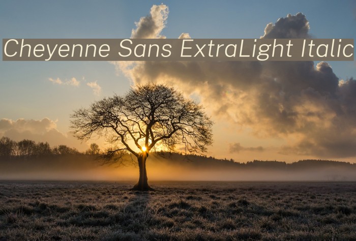 Cheyenne Sans ExtraLight Italic Font examples