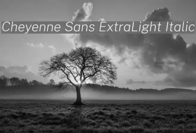 Cheyenne Sans ExtraLight Italic Font examples