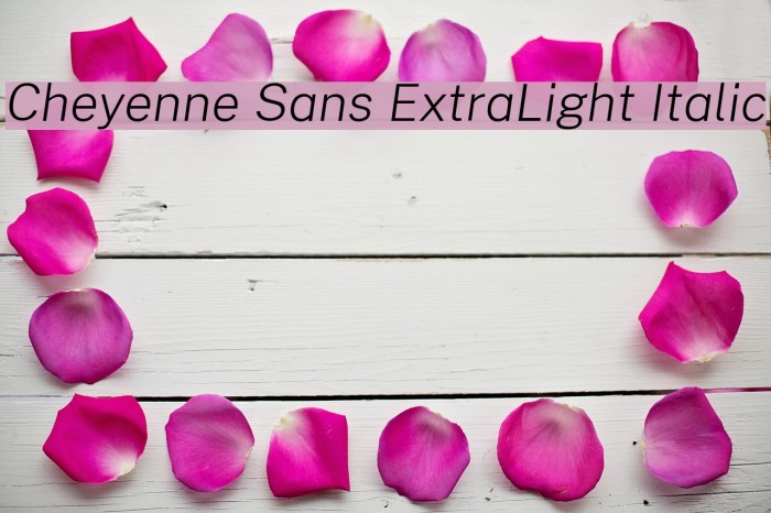 Cheyenne Sans ExtraLight Italic Font examples