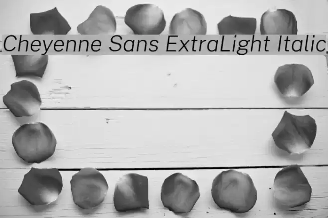 Cheyenne Sans ExtraLight Italic Font examples