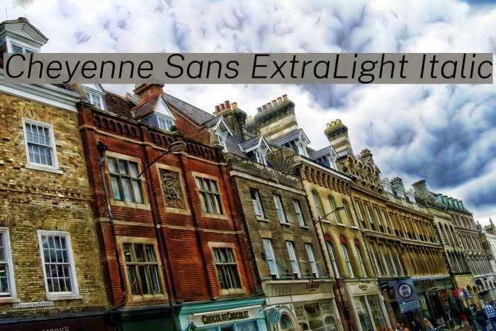 Cheyenne Sans ExtraLight Italic Font examples