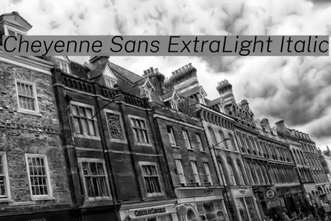 Cheyenne Sans ExtraLight Italic Font examples