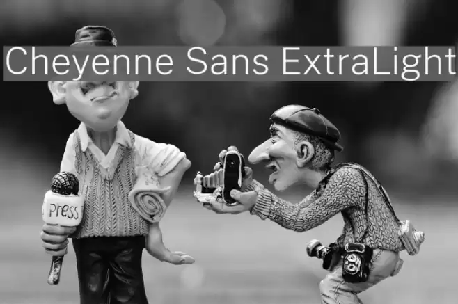 Cheyenne Sans ExtraLight Font examples