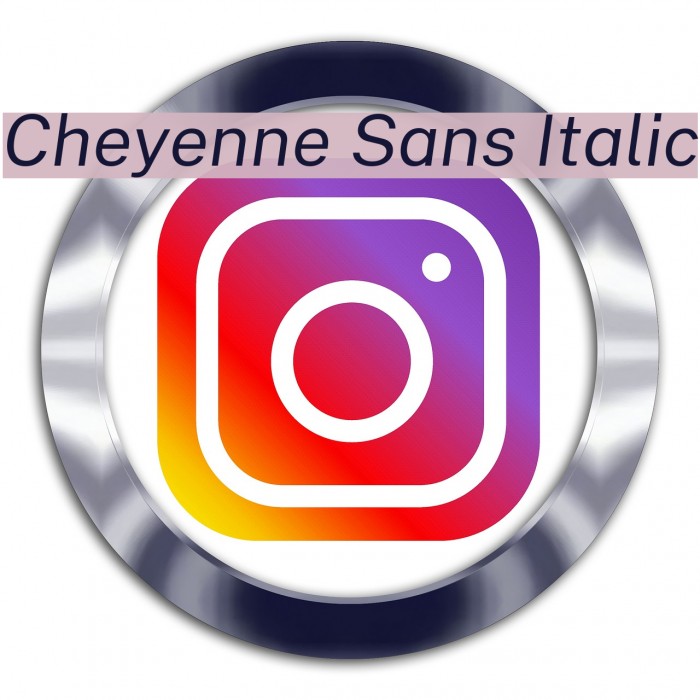 Cheyenne Sans Italic Font examples